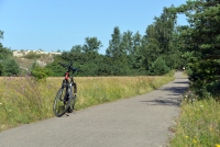 Bicycle path in Curonian spit, Lithuania - 6