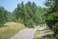 Ścieżka rowerowa w Mierzei Kurońskiej, Litwa - 8