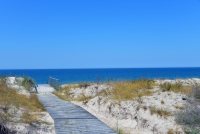 Bicycle path in Curonian spit, Lithuania - 11
