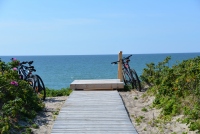 Bicycle path in Curonian spit, Lithuania - 25