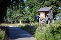 Bicycle path in Curonian spit, Lithuania - 27
