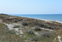 Seaside and dunes of the Curonian spit (Lithuania) - 5