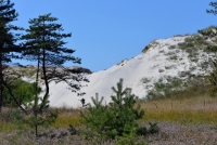 Seaside and dunes of the Curonian spit (Lithuania) - 6