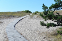 Seaside and dunes of the Curonian spit (Lithuania) - 7