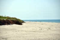 Seaside and dunes of the Curonian spit (Lithuania) - 8