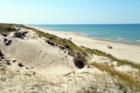 Seaside and dunes of the Curonian spit (Lithuania) - 18