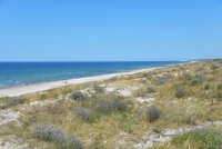 Seaside and dunes of the Curonian spit (Lithuania) - 20