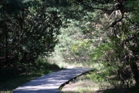 Ścieżka rowerowa Šventoji - Połąga - Karklė - 13