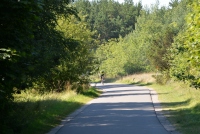 Seaside bicycle path Šventoji - Palanga - Karklė - 16