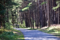 Seaside bicycle path Šventoji - Palanga - Karklė - 22