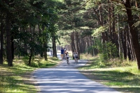 Seaside bicycle path Šventoji - Palanga - Karklė - 30
