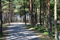 Seaside bicycle path Šventoji - Palanga - Karklė - 32
