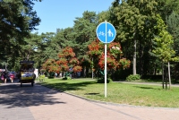 Seaside bicycle path Šventoji - Palanga - Karklė - 42