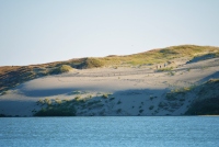 Parnidis dune (Nida, Curonian spit) - 15