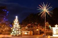Christmas tree in Nida, Juodkrantė - 2