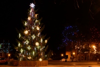 Weihnachtsbaum in Nida, Juodkrantė - 5