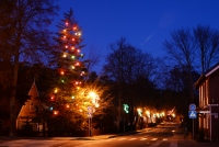 Weihnachtsbaum in Nida, Juodkrantė - 16