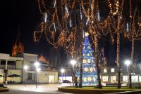Weihnachtsbaum in Palanga und Šventoji - 11