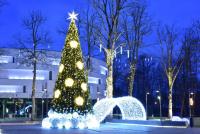 Weihnachtsbaum in Palanga und Šventoji - 1