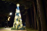 Weihnachtsbaum in Palanga und Šventoji - 62