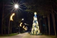 Šv. Kalėdų eglė Šventojoje 2018 metų gruodį - 63