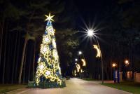 Weihnachtsbaum in Palanga und Šventoji - 64