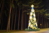 Weihnachtsbaum in Palanga und Šventoji - 65