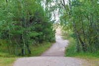 Nagliu nature reserve, cognitive path - 22